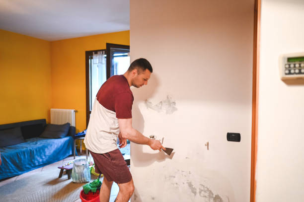 Best Health and Safety Mold Remediation in Salem, MA